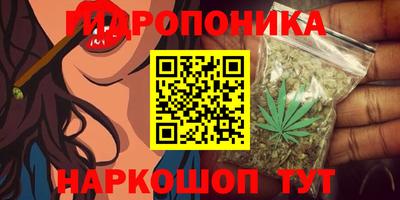 mdma Бийск