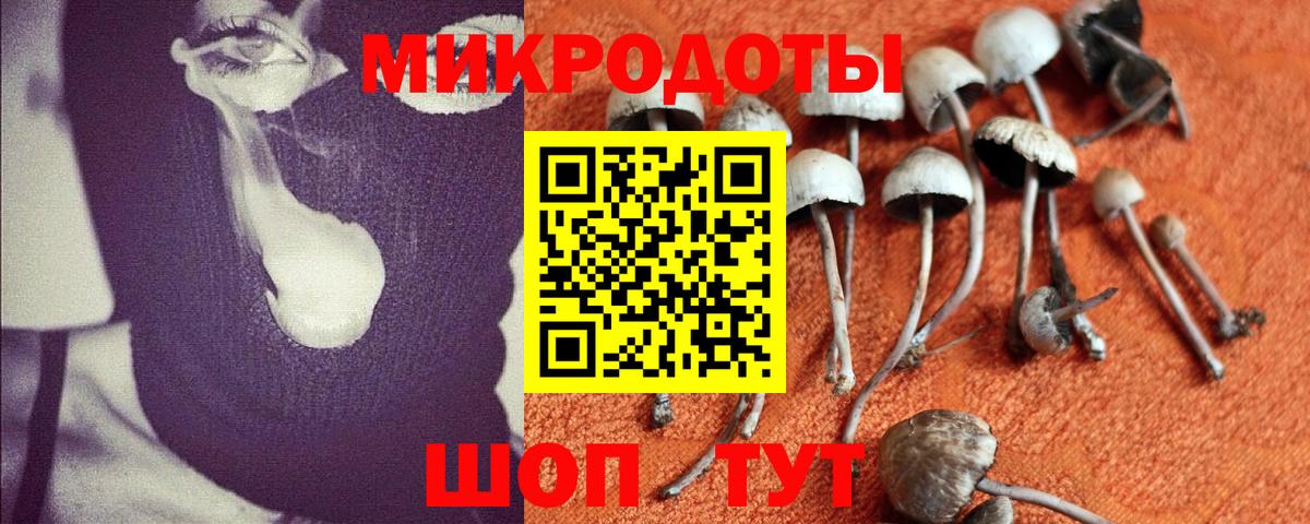 Канаш  Галлюциногенные грибы ЛСД  Галлюциногенные грибы мицелий  Вход с VPN 